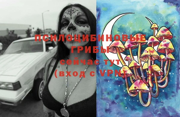 гидра Киреевск
