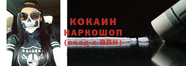 гидра Кинешма