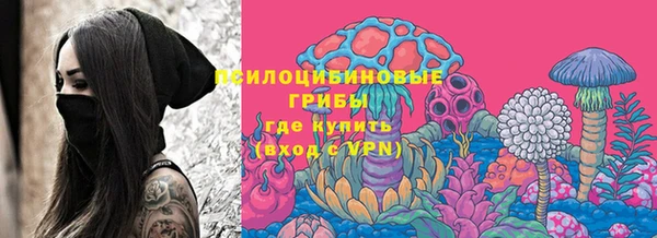 гидра Киреевск