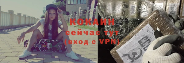 гидра Киреевск