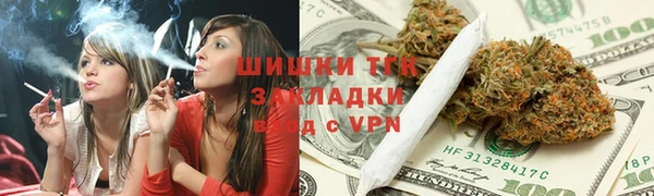 гидра Кинешма